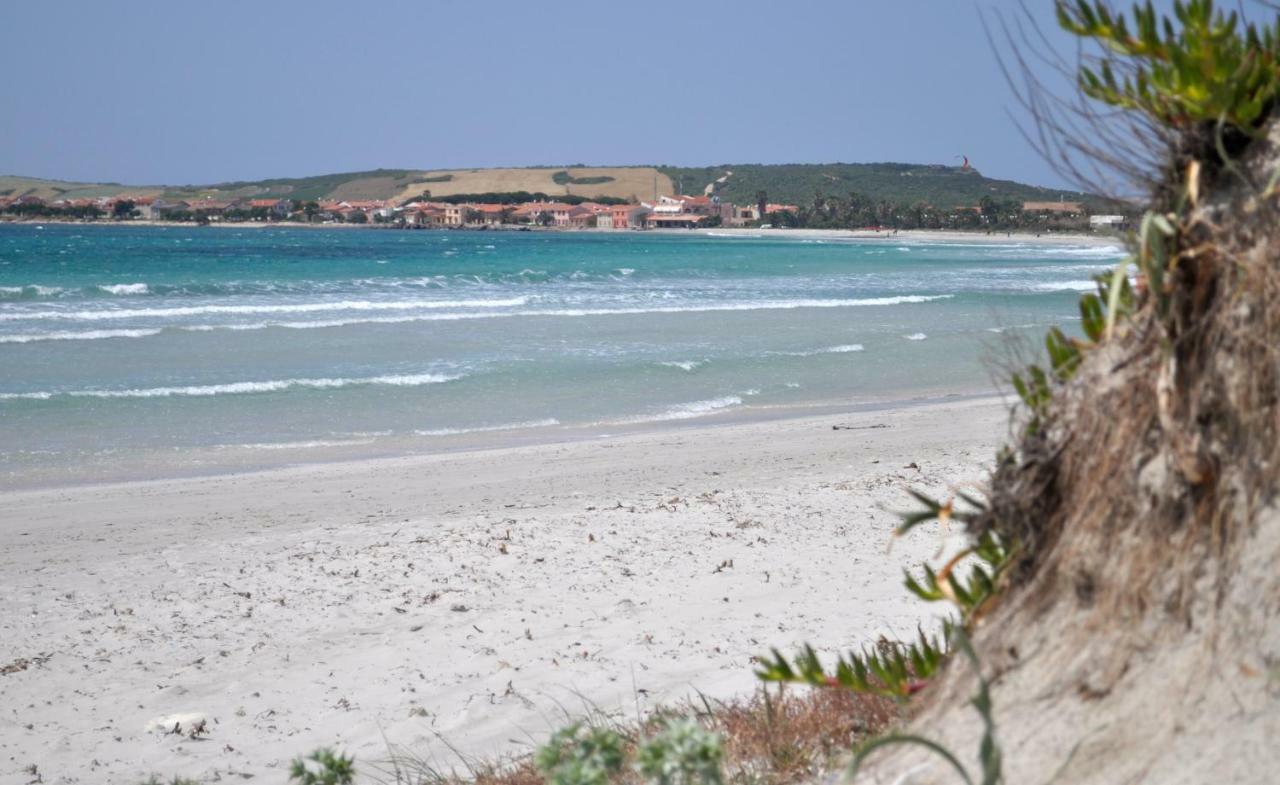 Càbras Artista B&B المظهر الخارجي الصورة
